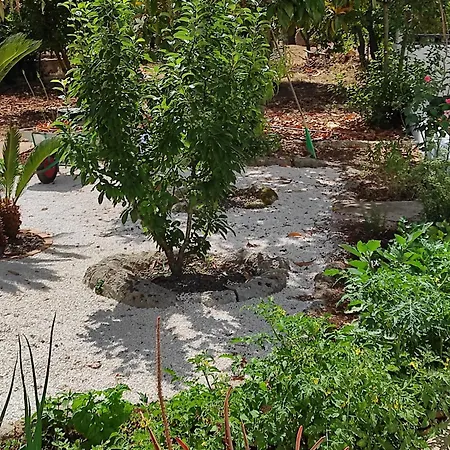 فندق مبيت وإفطار A_casa_da_leo La Correggia